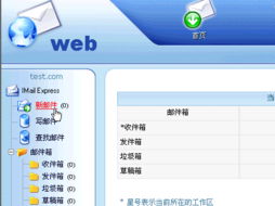 中网互联 企业建站与网络服务的专业之选